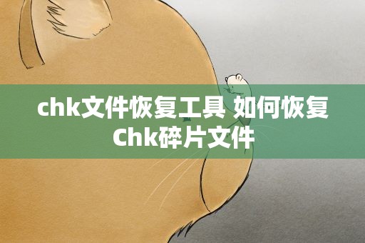 chk文件恢复工具 如何恢复Chk碎片文件