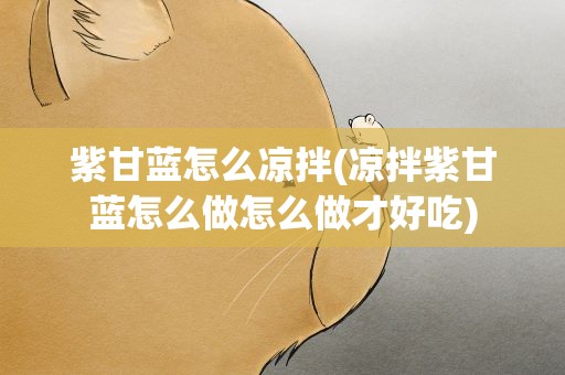 紫甘蓝怎么凉拌(凉拌紫甘蓝怎么做怎么做才好吃)