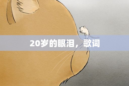 20岁的眼泪，歌词