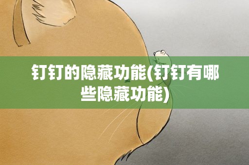 钉钉的隐藏功能(钉钉有哪些隐藏功能)