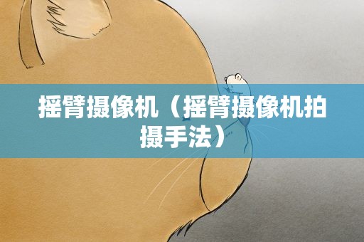 摇臂摄像机（摇臂摄像机拍摄手法）