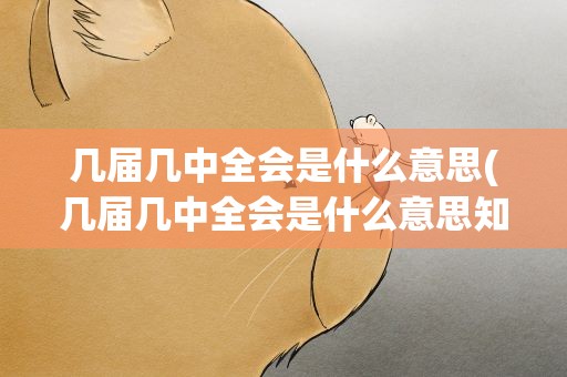 几届几中全会是什么意思(几届几中全会是什么意思知乎)