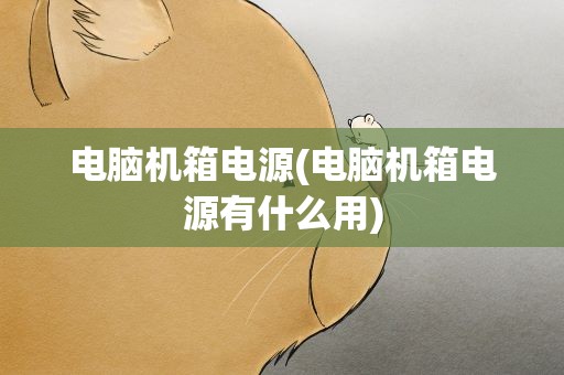 电脑机箱电源(电脑机箱电源有什么用)
