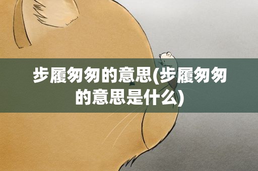 步履匆匆的意思(步履匆匆的意思是什么)