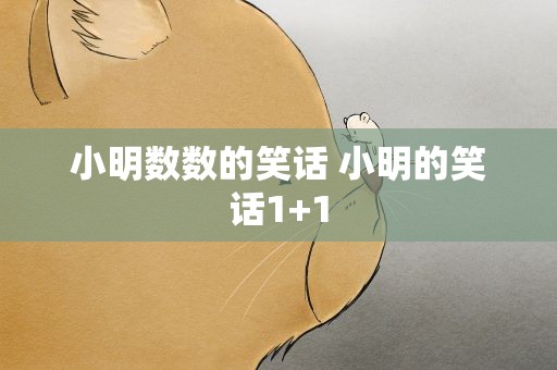 小明数数的笑话 小明的笑话1+1