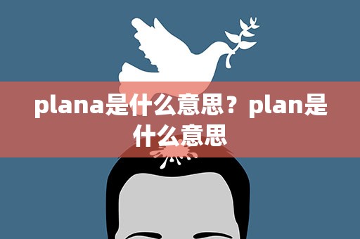 plana是什么意思？plan是什么意思