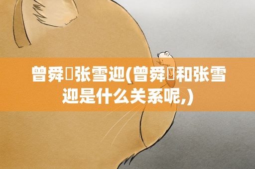 曾舜晞张雪迎(曾舜晞和张雪迎是什么关系呢,)