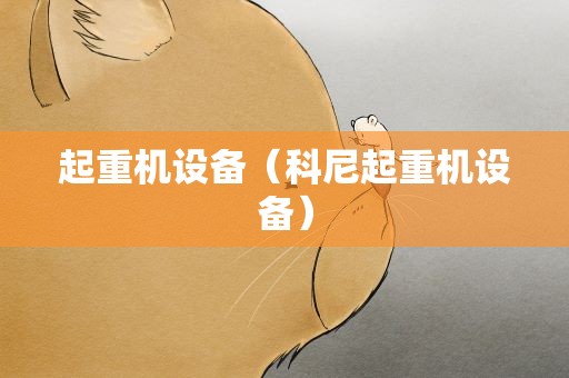 起重机设备（科尼起重机设备）