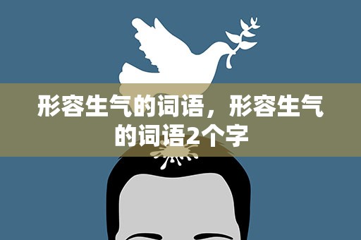 形容生气的词语，形容生气的词语2个字