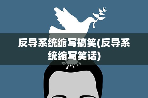 反导系统缩写搞笑(反导系统缩写笑话)