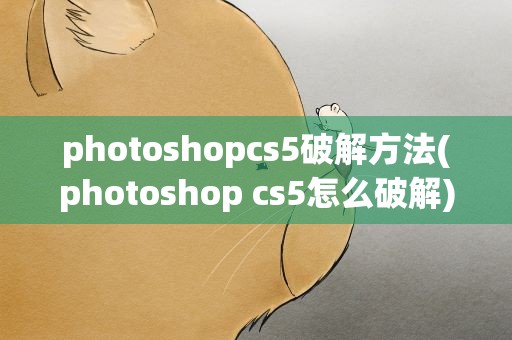 photoshopcs5破解方法(photoshop cs5怎么破解)