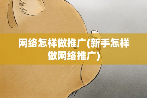 网络怎样做推广(新手怎样做网络推广)