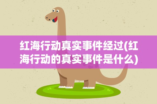 红海行动真实事件经过(红海行动的真实事件是什么)