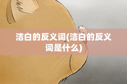 洁白的反义词(洁白的反义词是什么)