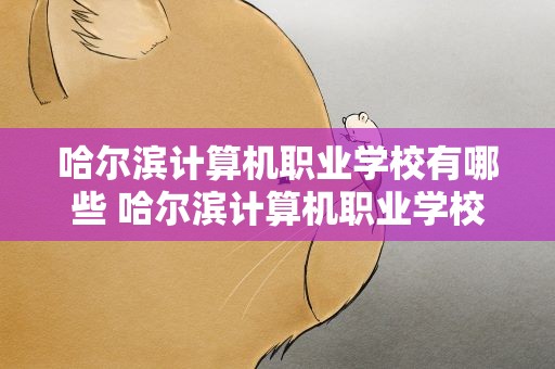 哈尔滨计算机职业学校有哪些 哈尔滨计算机职业学校有哪些专业
