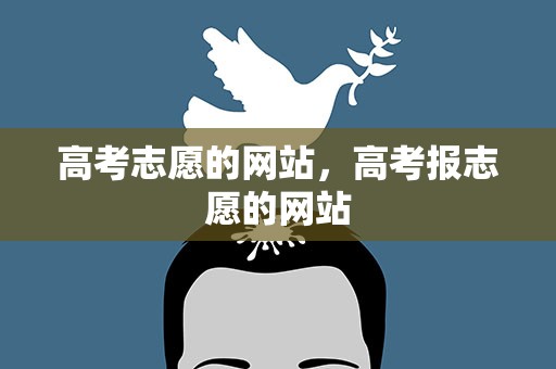 高考志愿的网站，高考报志愿的网站