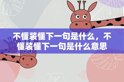 不懂装懂下一句是什么，不懂装懂下一句是什么意思
