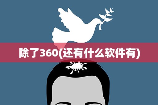 除了360(还有什么软件有)