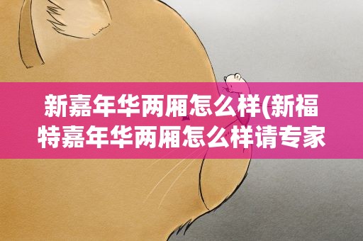 新嘉年华两厢怎么样(新福特嘉年华两厢怎么样请专家帮忙。)
