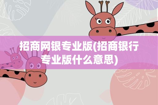 招商网银专业版(招商银行专业版什么意思)