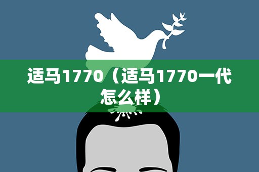 适马1770（适马1770一代怎么样）
