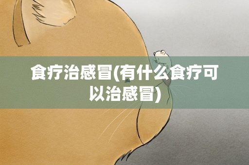 食疗治感冒(有什么食疗可以治感冒)