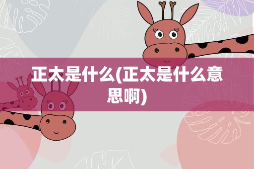 正太是什么(正太是什么意思啊)