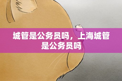 城管是公务员吗，上海城管是公务员吗