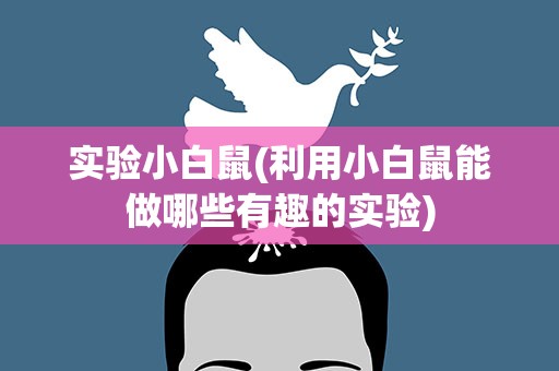 实验小白鼠(利用小白鼠能做哪些有趣的实验)