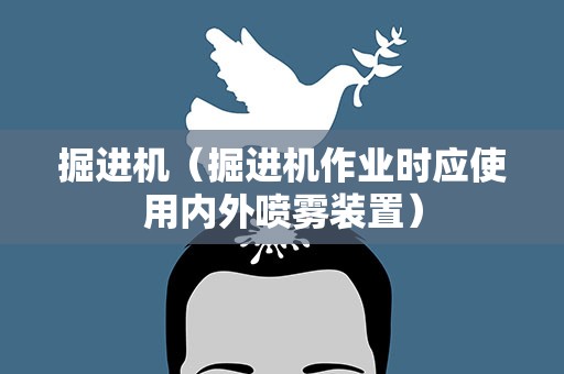 掘进机（掘进机作业时应使用内外喷雾装置）