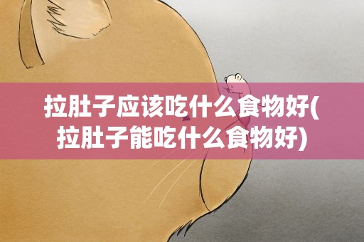 拉肚子应该吃什么食物好(拉肚子能吃什么食物好)
