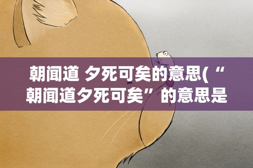 朝闻道 夕死可矣的意思(“朝闻道夕死可矣”的意思是什么)