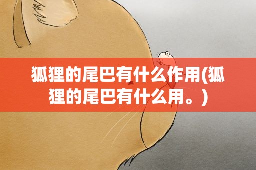 狐狸的尾巴有什么作用(狐狸的尾巴有什么用。)