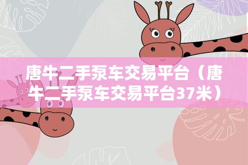 唐牛二手泵车交易平台（唐牛二手泵车交易平台37米）