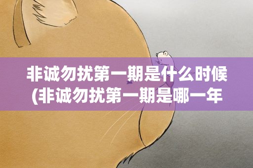 非诚勿扰第一期是什么时候(非诚勿扰第一期是哪一年开始的)
