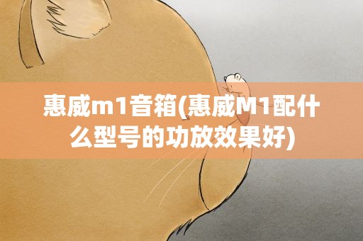 惠威m1音箱(惠威M1配什么型号的功放效果好)