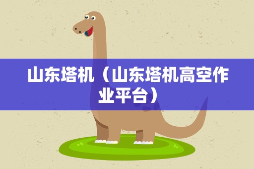 山东塔机（山东塔机高空作业平台）