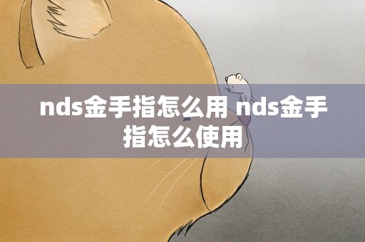 nds金手指怎么用 nds金手指怎么使用
