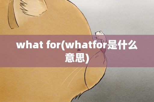 what for(whatfor是什么意思)