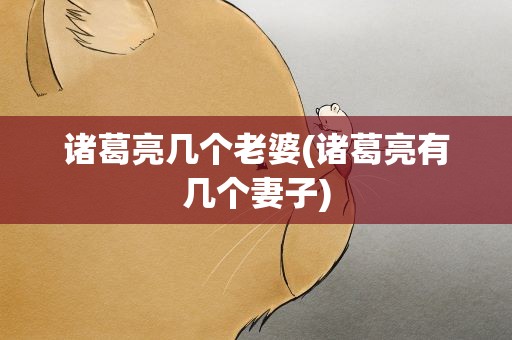 诸葛亮几个老婆(诸葛亮有几个妻子)