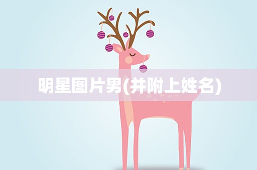 明星图片男(并附上姓名)