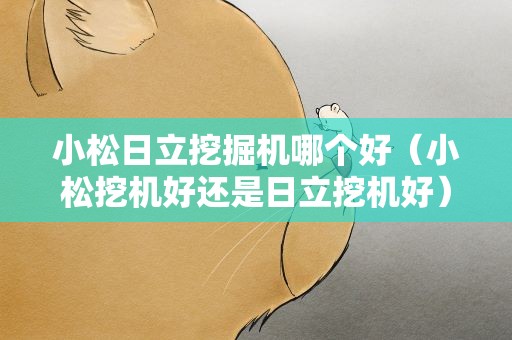 小松日立挖掘机哪个好（小松挖机好还是日立挖机好）