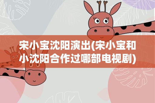 宋小宝沈阳演出(宋小宝和小沈阳合作过哪部电视剧)