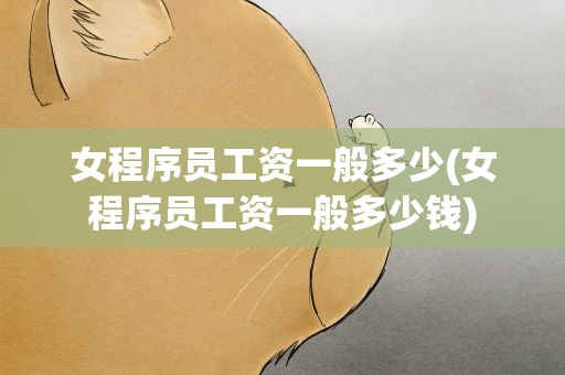 女程序员工资一般多少(女程序员工资一般多少钱)