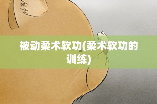 被动柔术软功(柔术软功的训练)