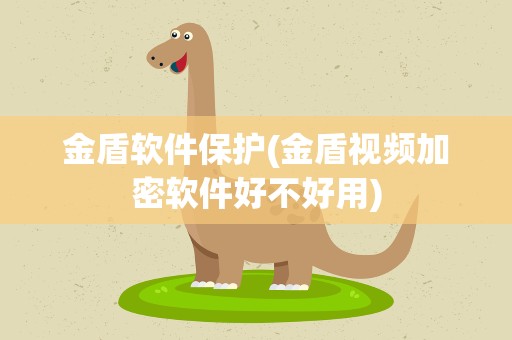 金盾软件保护(金盾视频加密软件好不好用)