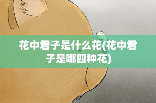 花中君子是什么花(花中君子是哪四种花)