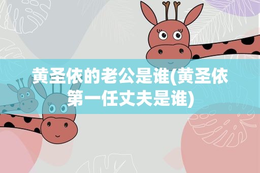 黄圣依的老公是谁(黄圣依第一任丈夫是谁)