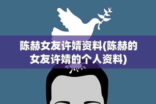 陈赫女友许婧资料(陈赫的女友许婧的个人资料)