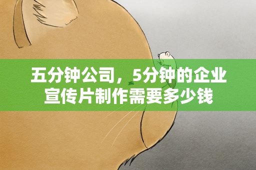 五分钟公司，5分钟的企业宣传片制作需要多少钱